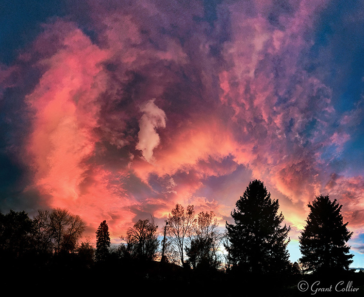 Sunset Over Trees in Colorado