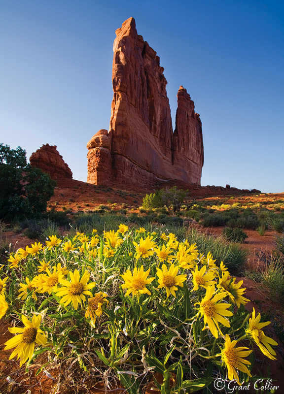 Courthouse Towers, The Organ, Arches National Park