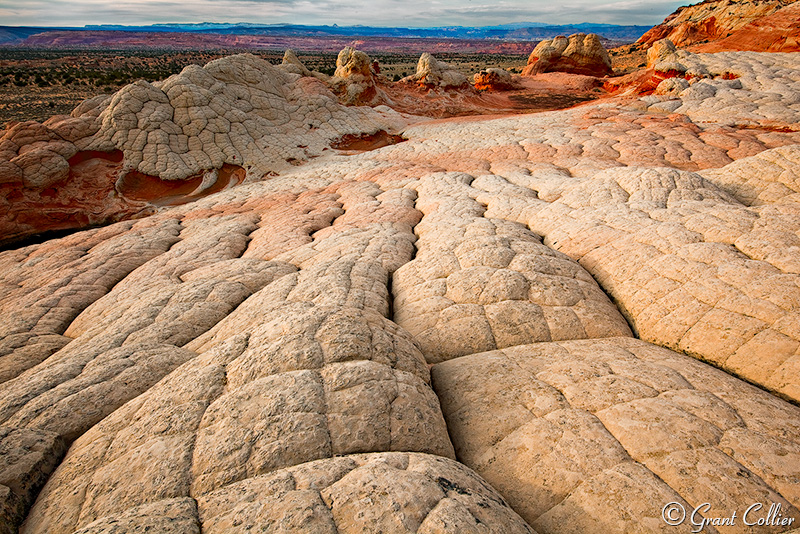 Arizona Nature Photography