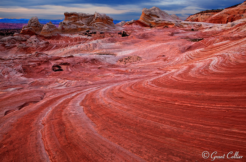 Desert Southwest nature photography