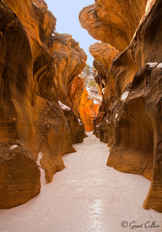 Willis Creek Narrows, slot canyon, Skutumpah Road