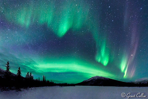 Northern Lights Above the Arctic Circle