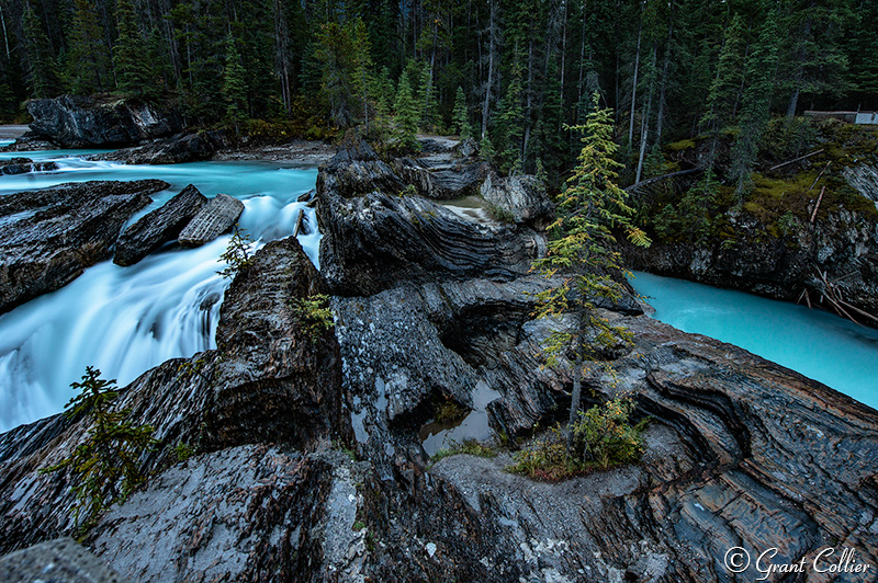 Kicking Horse Natural Birdge, Canada